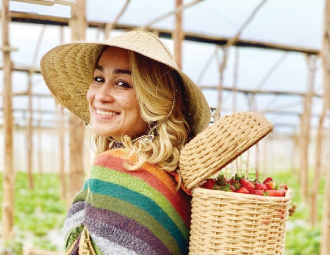 Suplidores de Fresas Constanza