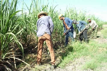 RD y Estados Unidos acuerdan cooperación en materia laboral