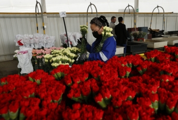 Las flores para San Valentín