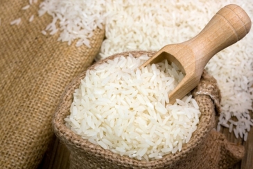Economista Piantini dice país aceptó desgravación del arroz en DR-Cafta