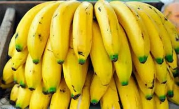 RD acogerá productores de banano y café de Latinoamérica en abril