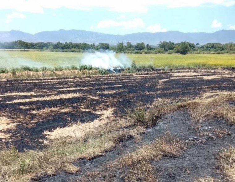Medio Ambiente investiga denuncia en Guayacanes