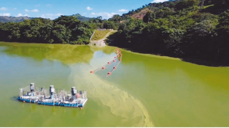 Academia de Ciencias denuncia  contaminación en presa de Hatillo